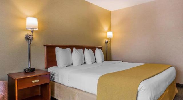 Номер Standard Quality Inn Hyde Park - Poughkeepsie North