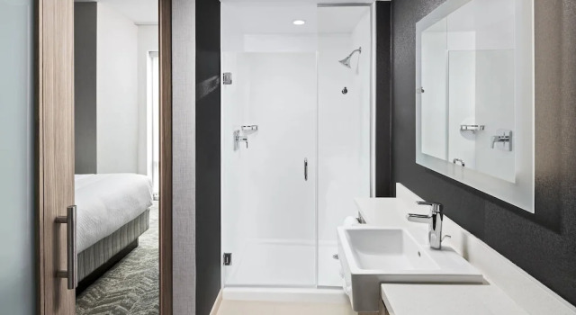 Люкс c 1 комнатой SpringHill Suites by Marriott Greenville Downtown