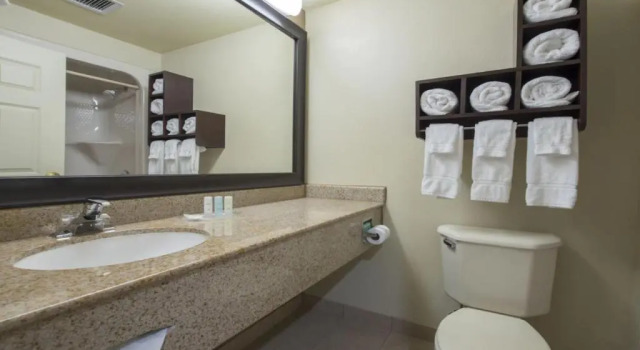 Люкс Comfort Suites Columbia at Harbison