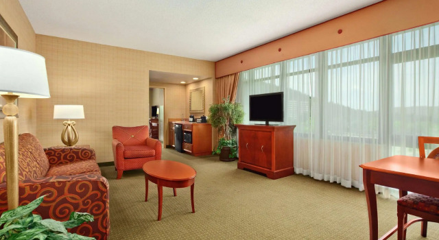Четырёхместный номер Standard Embassy Suites by Hilton at Hot Springs Convention Center