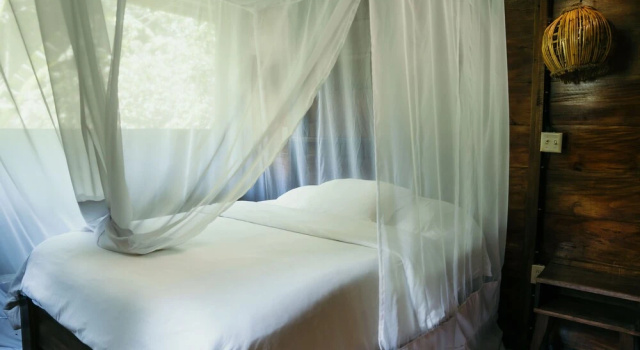 Люкс La Loma Jungle Lodge