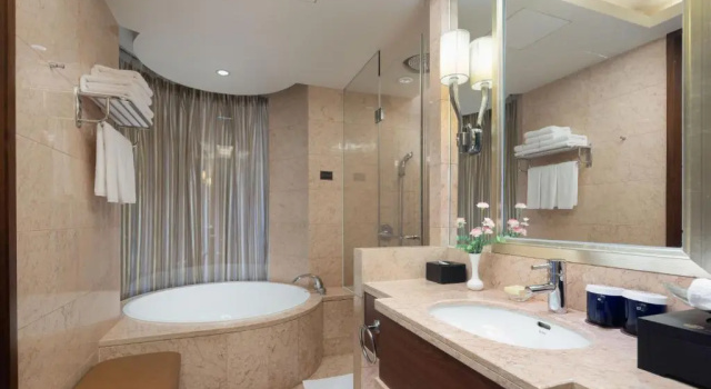 Двухместный номер Deluxe Shenzhen Baolilai International Hotel---Airport Branch
