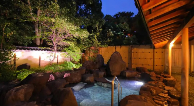 Одноместный номер Standard Hotel Beppu Pastoral