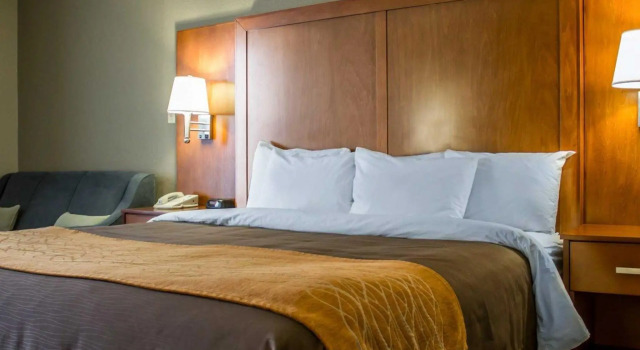 Номер Standard Comfort Inn Alliance