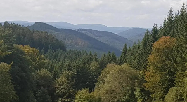 Ruime, gezellige vakantiewoning nabij Winterberg voor 2 tot 6 rustige natuurliefhebbers, Забронировать Отель Шмалленберг Северный Рейн-Вестфалия