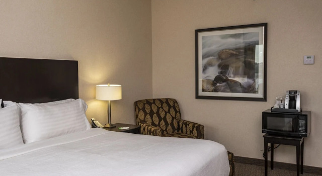 Двухместный номер Standard с видом на гавань Holiday Inn Sydney - Waterfront by IHG