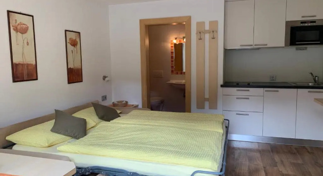Apartments Soval