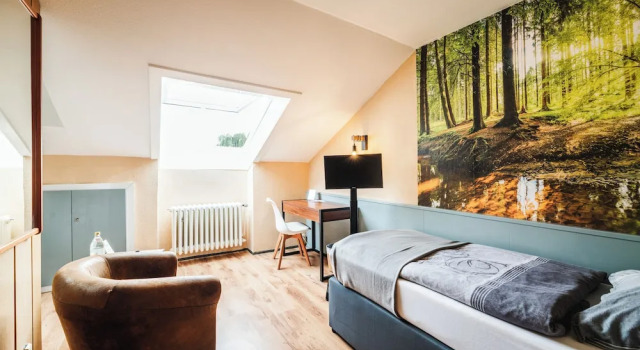 Номер Economy Landhotel Alte Aue