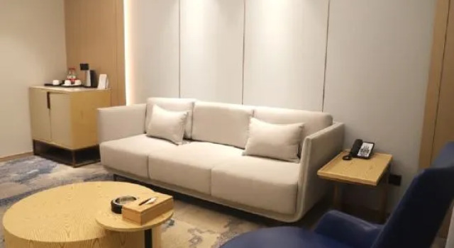 Люкс Executive Austin Hotel