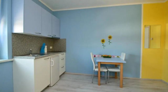 Студия Apartments Orhideja