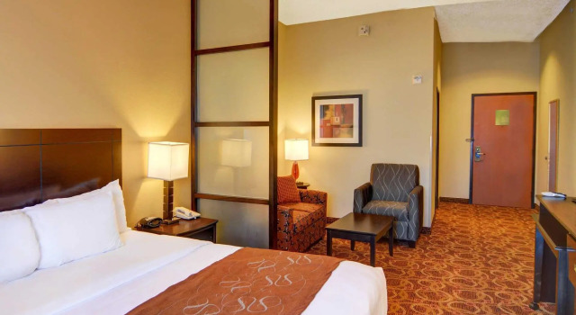 Люкс Comfort Suites McKinney-Allen