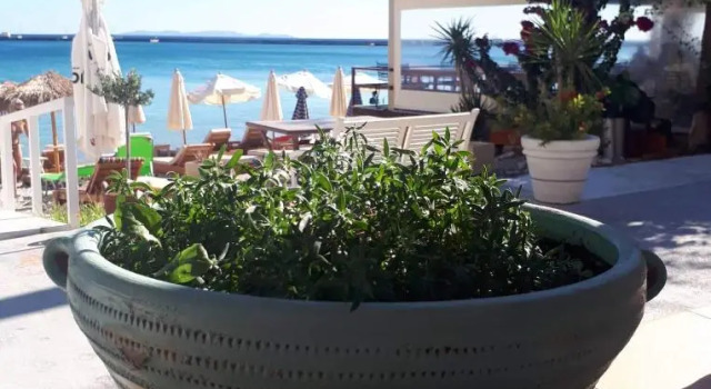 Коттедж Beachfront House Pythagorion