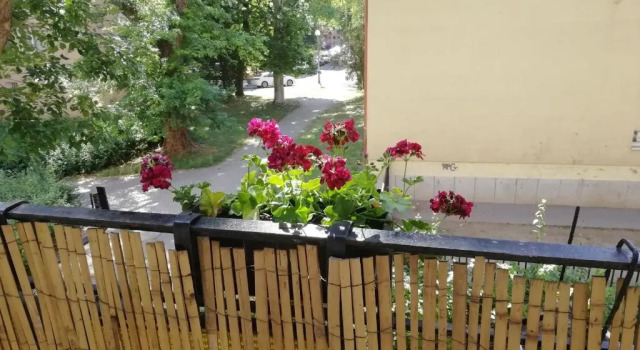 Évalak apartman