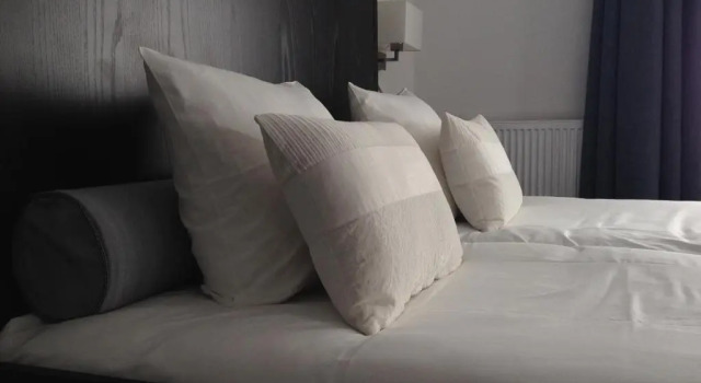 Номер Deluxe Boutique Hotel de Zwaluw
