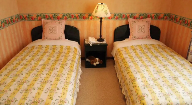 Двухместный номер Standard Petit Hotel Corinthian