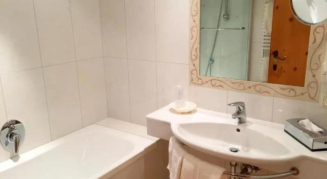 Двухместный номер Standard Hotel Grauer Bär