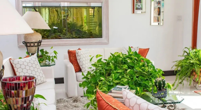 Кровать в общем номере Room in Guest Room - Zenbreak Bliss Twin Bedroom