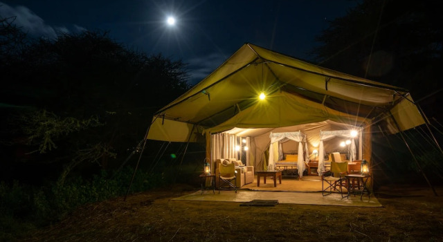 Семейный тент Serengeti Woodlands Camp