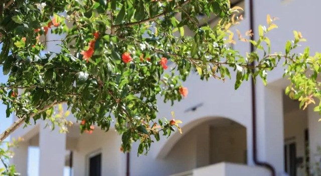 Altamar Collection, Reserva ahora Apartahotel Apartahoteles en Grecia Central, Apartahotel