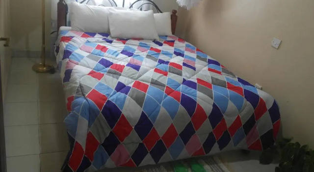 Номер Standard Palm Airport Suites