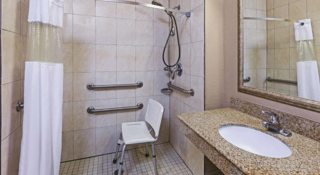 Двухместный номер Standard La Quinta by Wyndham Pearland