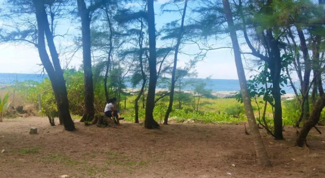 Тент His Grace BEACH Cottages - Private Beach at MALPE