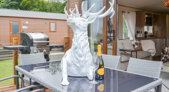 Номер Standard Luxury Boutique Style Lodge With hot tub
