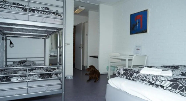 Одноместный номер Standard STAY and SLEEP Grindsted - Billund
