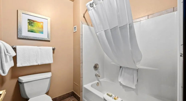 Номер Standard The Estes Park Resort