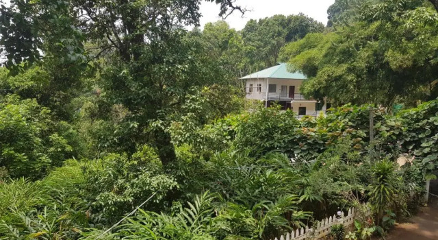 Двухместный номер Deluxe с балконом Spice Jungle Resort