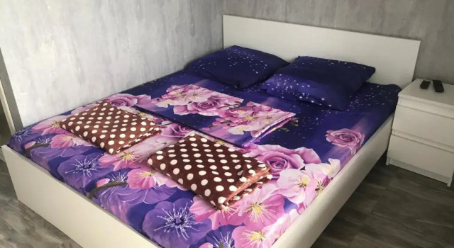 Двухместный номер Standard Raduga Guest House