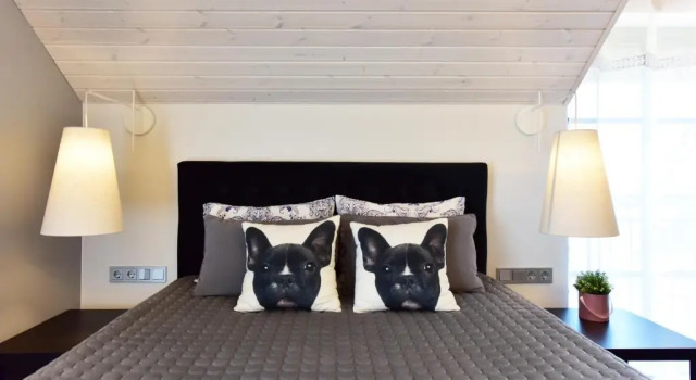Двухместный номер Superior Rusne Villa