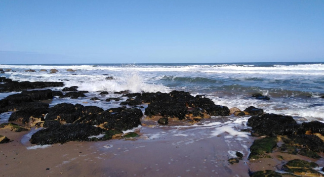 Deerness, 4star gold award 2024, Whitby, Забронировать Отель Отели Северного Йоркшира с парковкой, Парковка