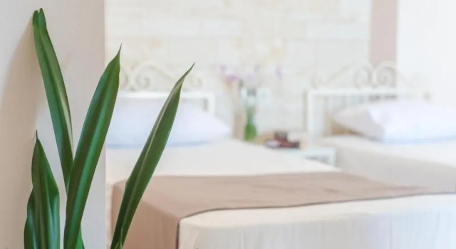Студия Standard Le Palme
