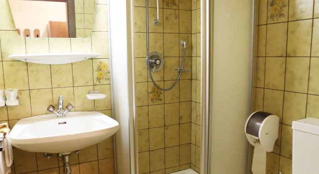Двухместный номер Standard с балконом и с видом на горы Gasthof Pension Madseiterhof