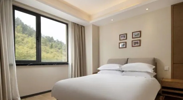 Люкс Yunyue Resort Hotel (Anji Wufeng Mountain International Youth Camp)