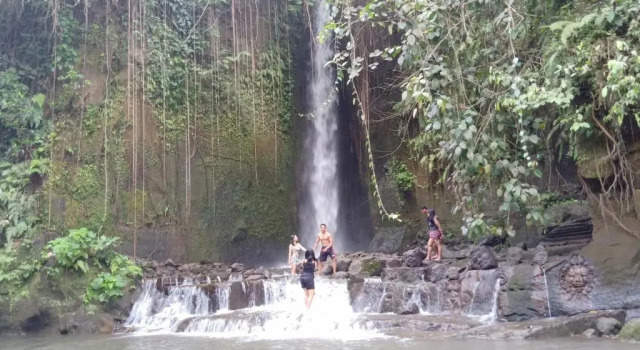 Номер Standard Baliwid Villa Ubud