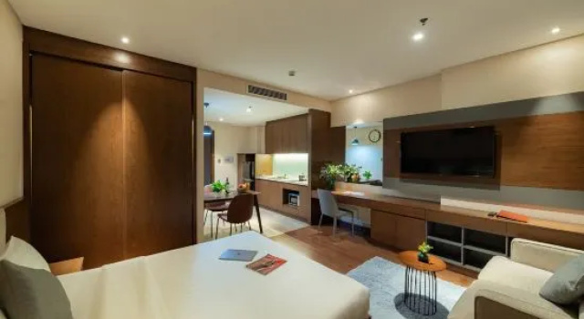 Люкс Deluxe DHTS Business Hotel & Apartment