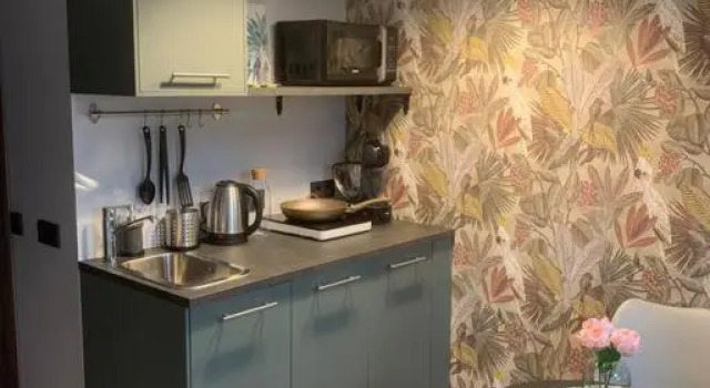 Апартаменты c 1 комнатой Apartment near Ozas