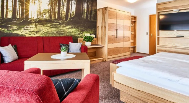 Двухместный номер Standard с балконом Hotel der Bäume