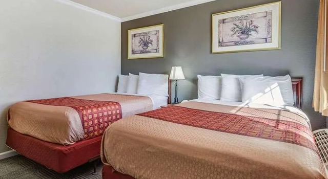 Четырёхместный номер Standard Americas Best Value Inn Petaluma