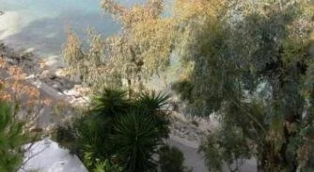 Tzeni Villa