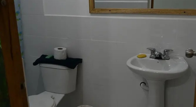 Номер Standard Birdwatcher's House