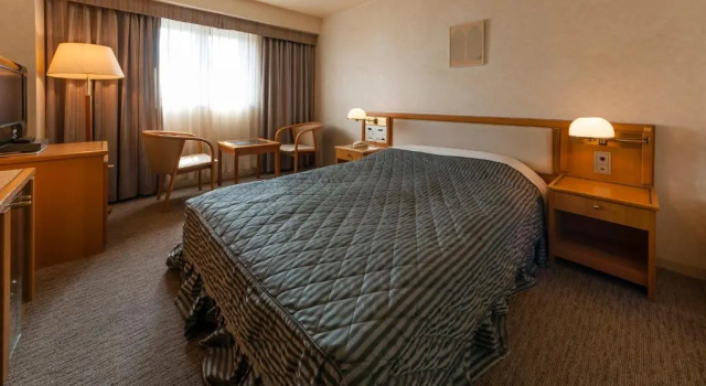 Двухместный номер Hotel Siena