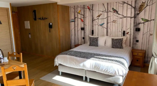 Номер Superior Logis Hôtel Les Autanes & Spa