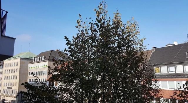 Ferienwohnung Domshof