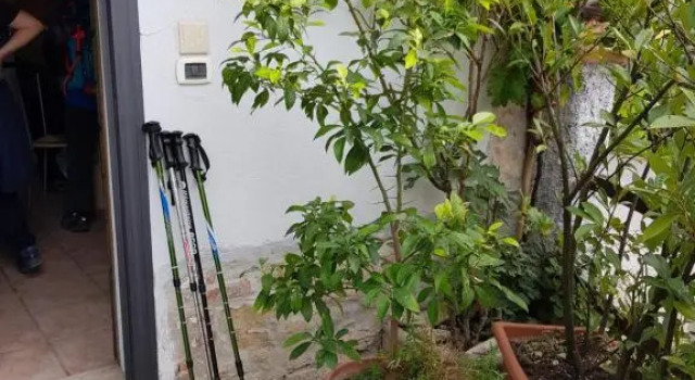 Номер Standard Monte degli Elci b&b