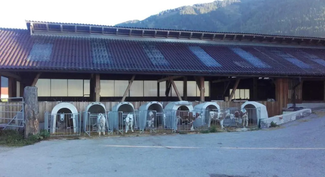 Коттедж Ferienhaus Reinfrank
