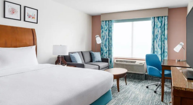 Двухместный Гостевой номер Sofa bed Hilton Garden Inn Orlando at SeaWorld