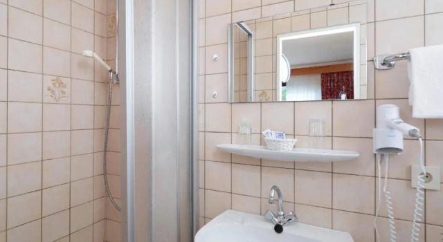 Номер Standard Hotel Haus Kylltal